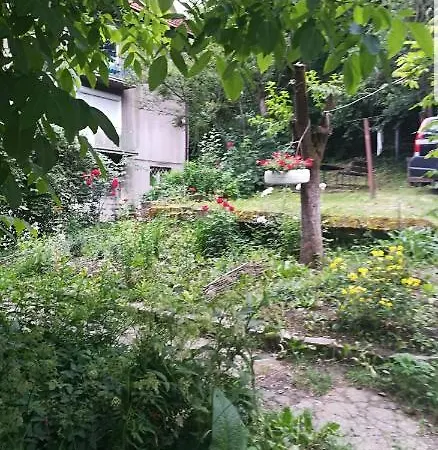 Apartamento Apartament Simona